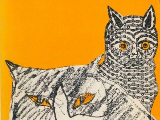 Andamos huyendo, Lola – Elena Garro